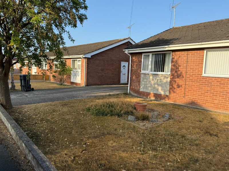 The front garden in Johnstown before clearing, with patchy grass under the tree