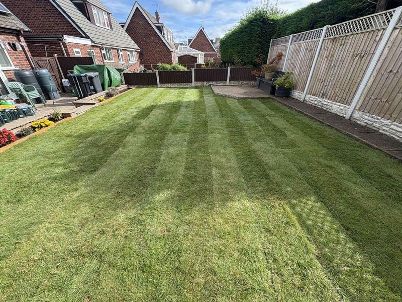 Freshly laid striped turf lawn after a full drainage fix in Marchwiel, Wrexham