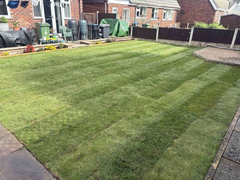 Freshly laid striped turf lawn after a full drainage fix in Marchwiel, Wrexham
