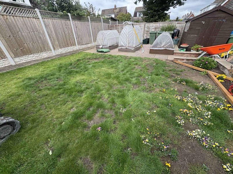 Freshly laid striped turf lawn after a full drainage fix in Marchwiel, Wrexham