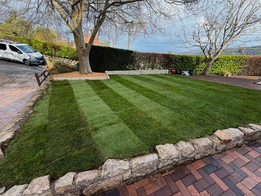 Freshly laid striped turf lawn with a stone wall border in Wrexham